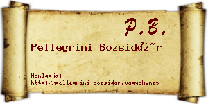Pellegrini Bozsidár névjegykártya